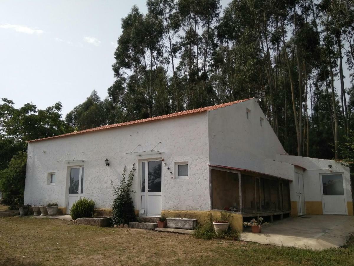 Quinta Da Mesa Villa Macinhata do Vouga Eksteriør billede